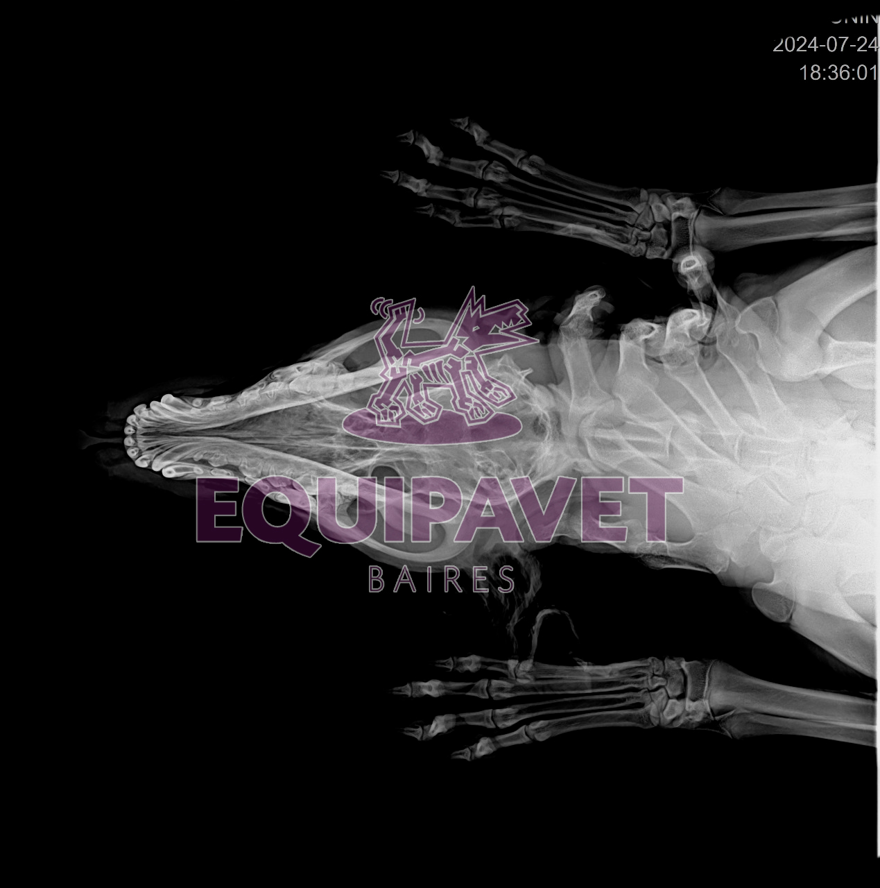 Foto producto Digitalizador Flat Panel con Notebook y Mesa + Equipo de RX portatil