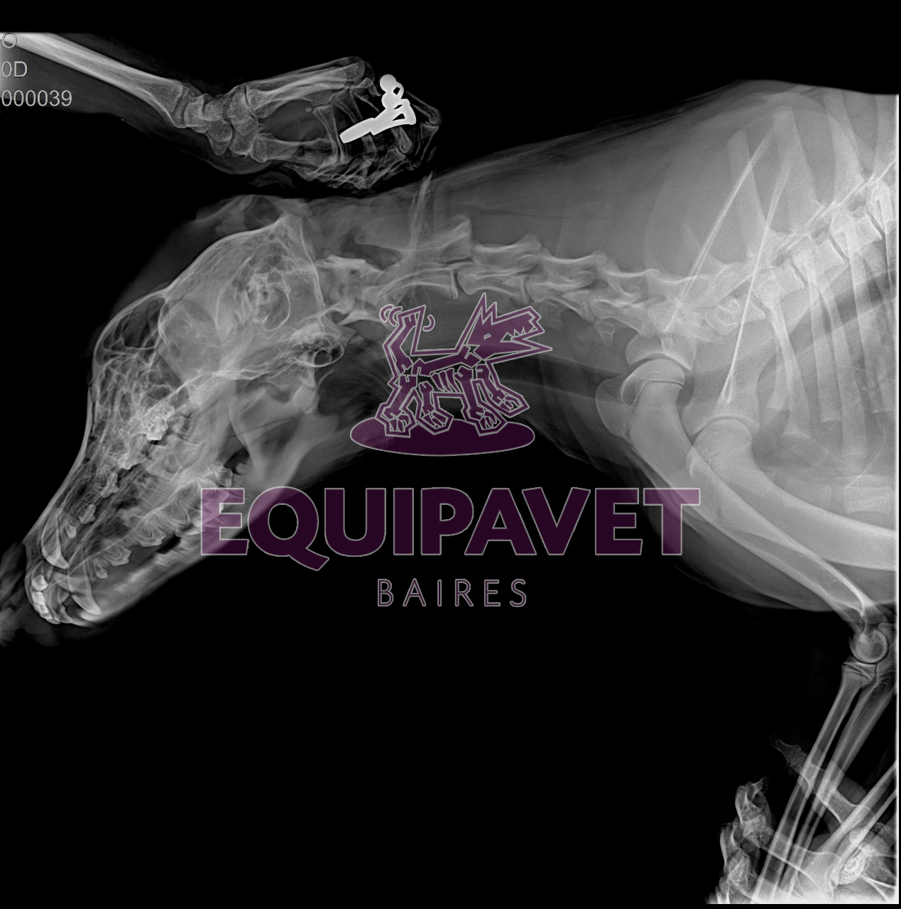 Foto producto Digitalizador Flat Panel con Notebook y Mesa + Equipo de RX portatil